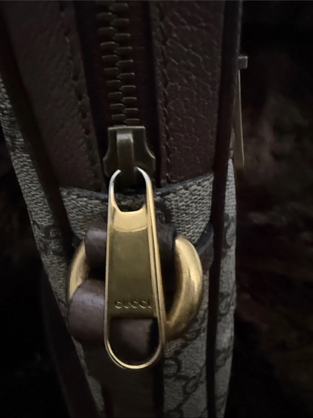 Gucci crossbody signature